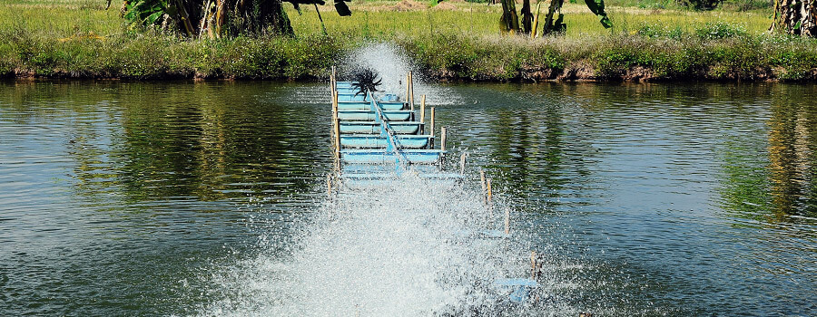 Dissolved Oxygen Ossigeno DiscioltoaDissolved Oxygen