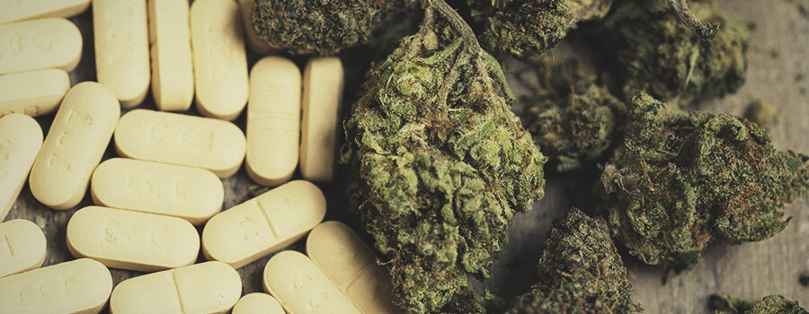 Ibuprofeno Vs Cannabis Voor De Bestrijding Van Ontstekingen Ibuprofeno Vs Cannabis Voor De Bestrijding Van Ontstekingen