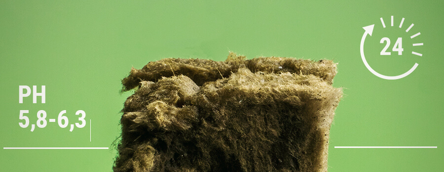 Week Steenwol in water 24 uur voor ph-stabilisatie Week Steenwol in water 24 uur voor ph-stabilisatie