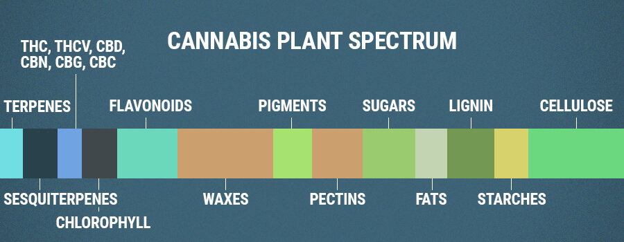 Cannabis Plantenspectrum Flavonoïden