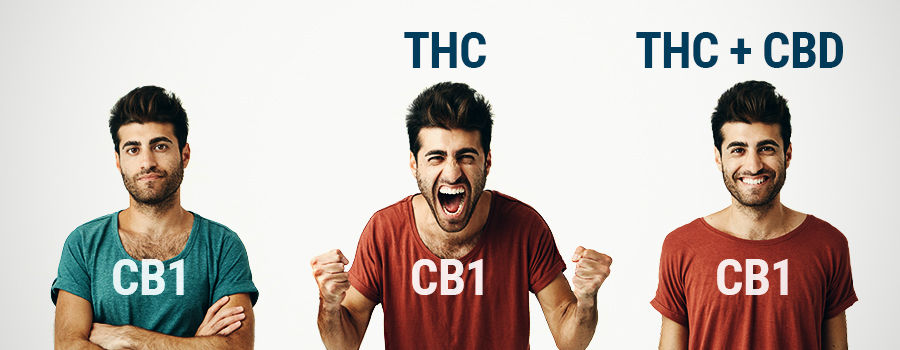 WHO THC en CBD WHO THC en CBD