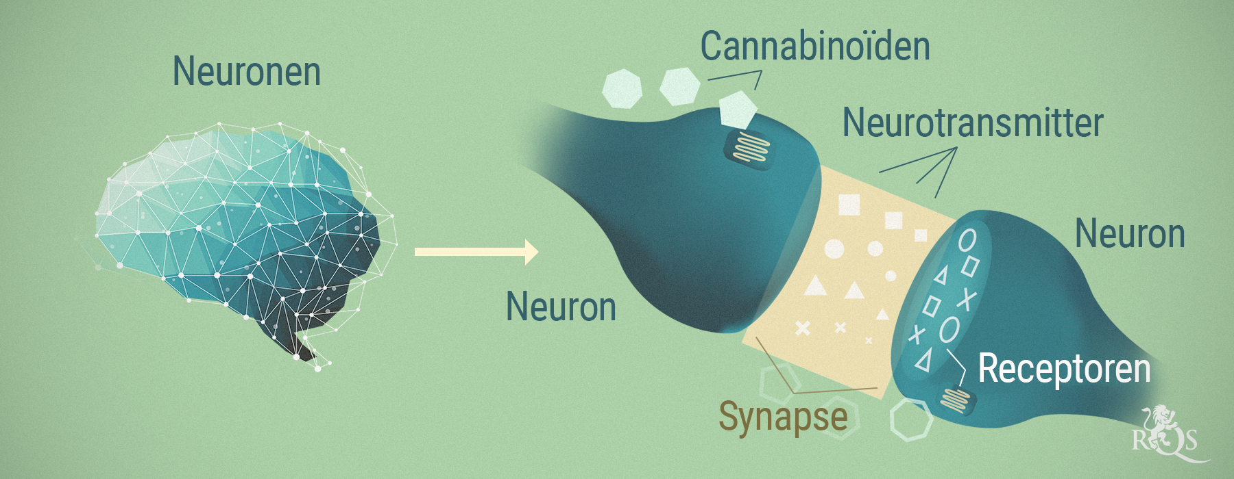 CBD EN SCHIZOFRENIE CBD EN SCHIZOFRENIE