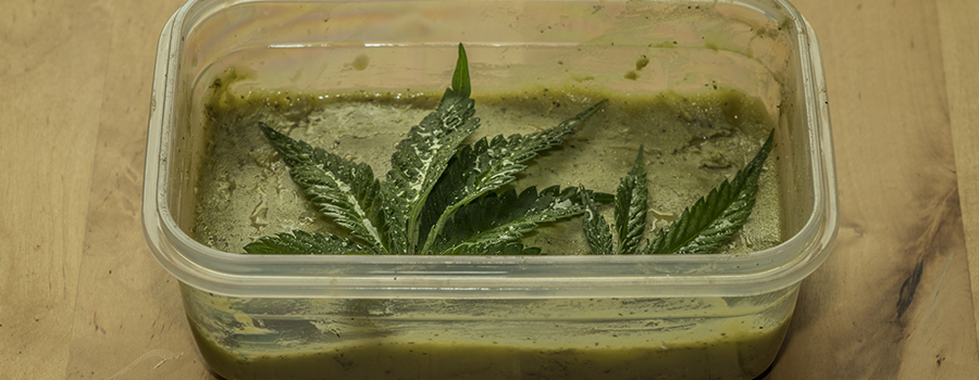 greenout symptomen cannabis edibles greenout symptomen cannabis edibles