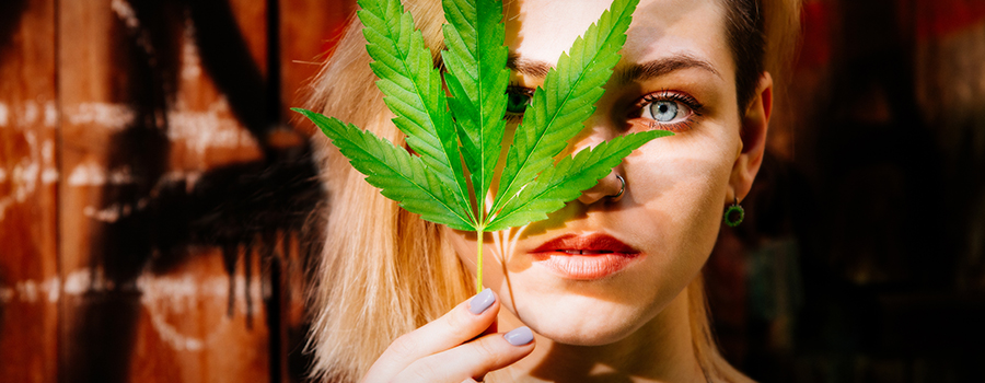 eerlijke gesprek ouders cannabis eerlijke gesprek ouders cannabis