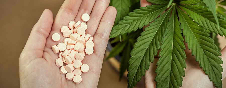 Veilig pijn medicijnen cannabis in plaats van opioïden Veilig pijn medicijnen cannabis in plaats van opioïden