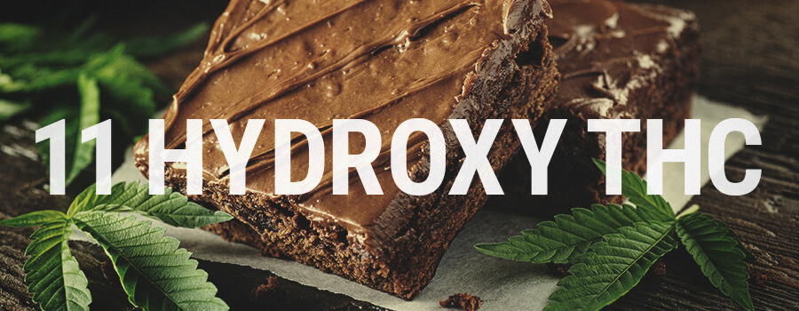 11 Hydroxy THC 11 Hydroxy THC