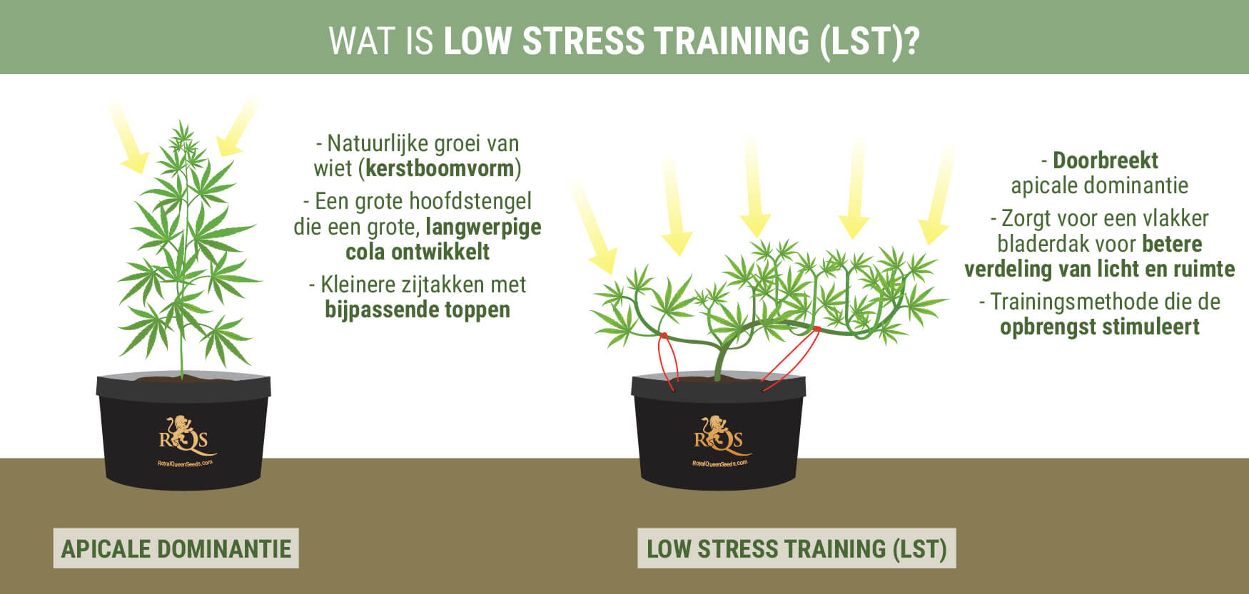 Wat Is Low Stress Training? Wat Is Low Stress Training?