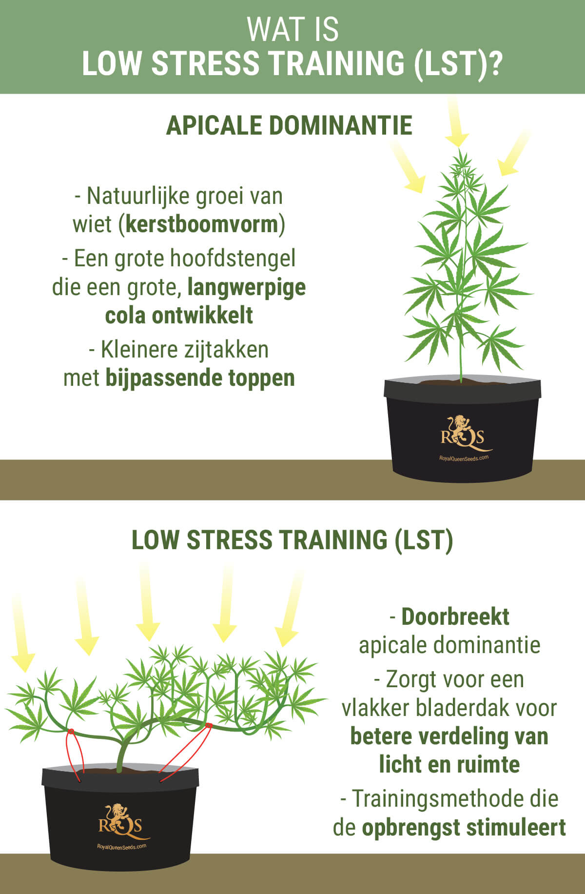Wat Is Low Stress Training? Wat Is Low Stress Training?