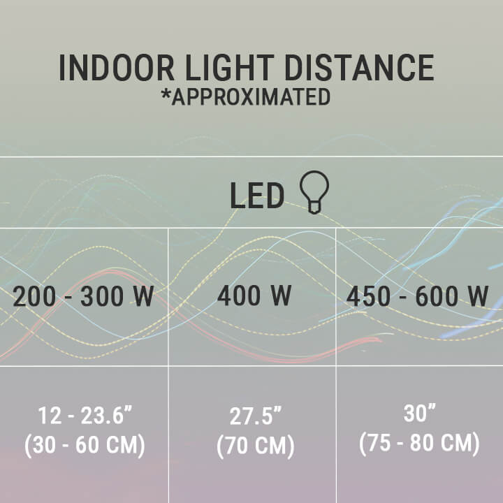 Tips for Saving Time Growers Mistakes to Avoid LED Grow Lights