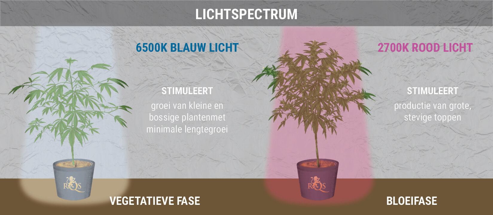 EEN OPMERKING OVER LICHTSPECTRUM