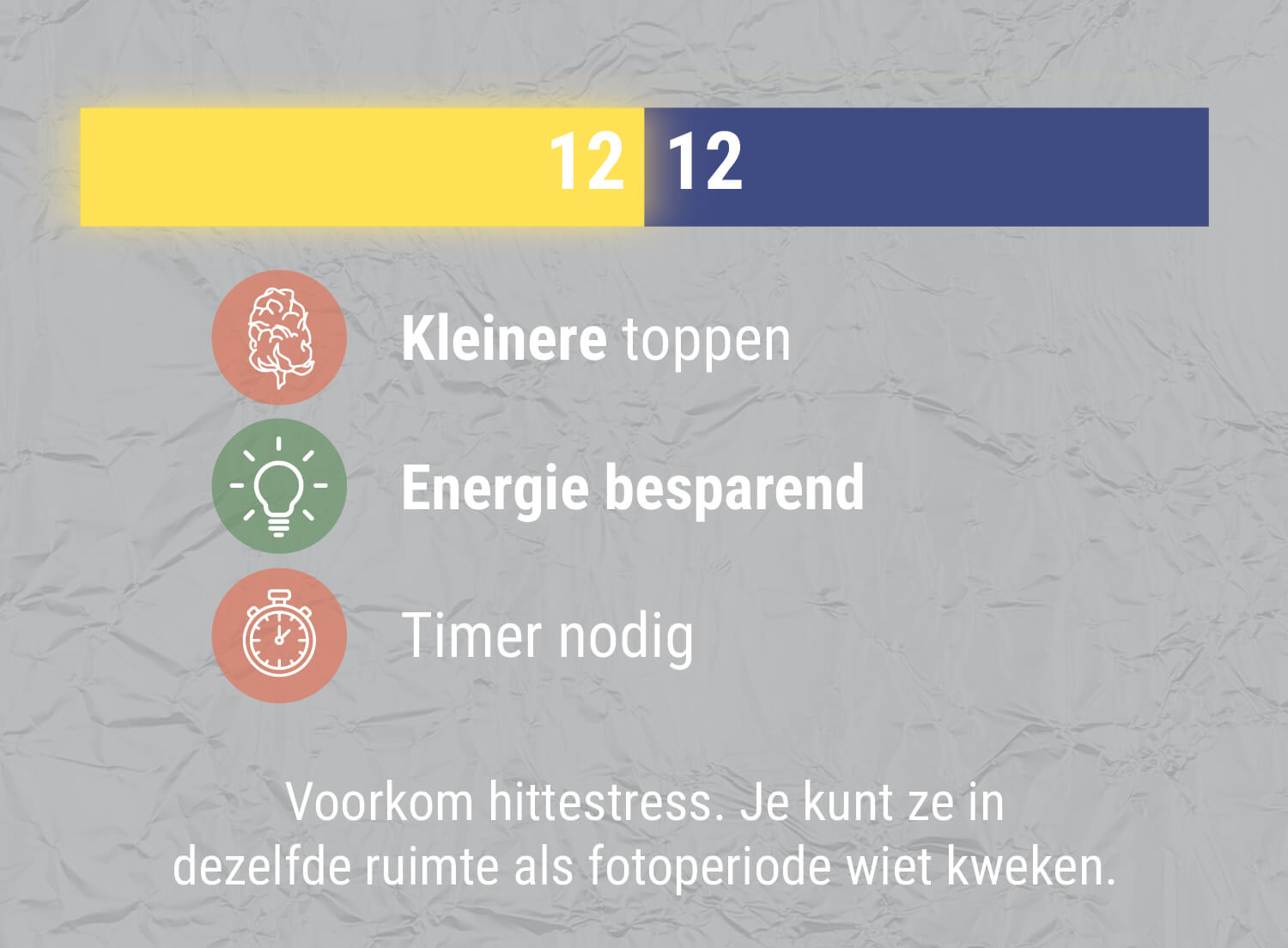 HOE ZIT HET MET EEN 12/12 LICHTSCHEMA? HOE ZIT HET MET EEN 12/12 LICHTSCHEMA?
