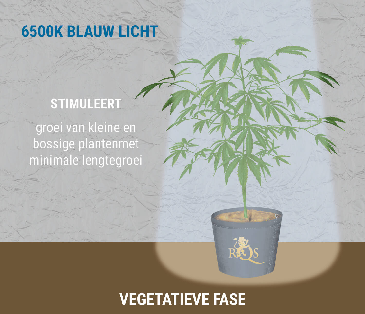 6500K blauw licht tijdens de groei 6500K blauw licht tijdens de groei