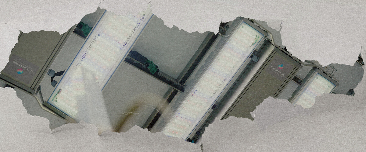 CRIC Labs Cannabis Verlichting en Controle Gids Een illustratie van een lichte kweekruimte van CRIC Labs met F1 cannabis-hybriden, met 1000 μmol PPFD verlichting, sensoren voor vochtigheid en temperatuur, en fertirrigatie met inert kweekmedium, tegen een groene achtergrond.
