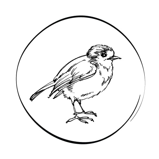 TREK VOGELS AAN TREK VOGELS AAN