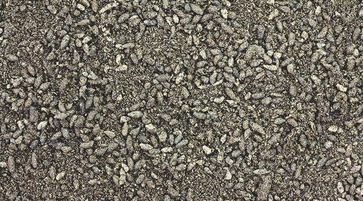 De beste substanties voor een topdressing De beste substanties voor een topdressing