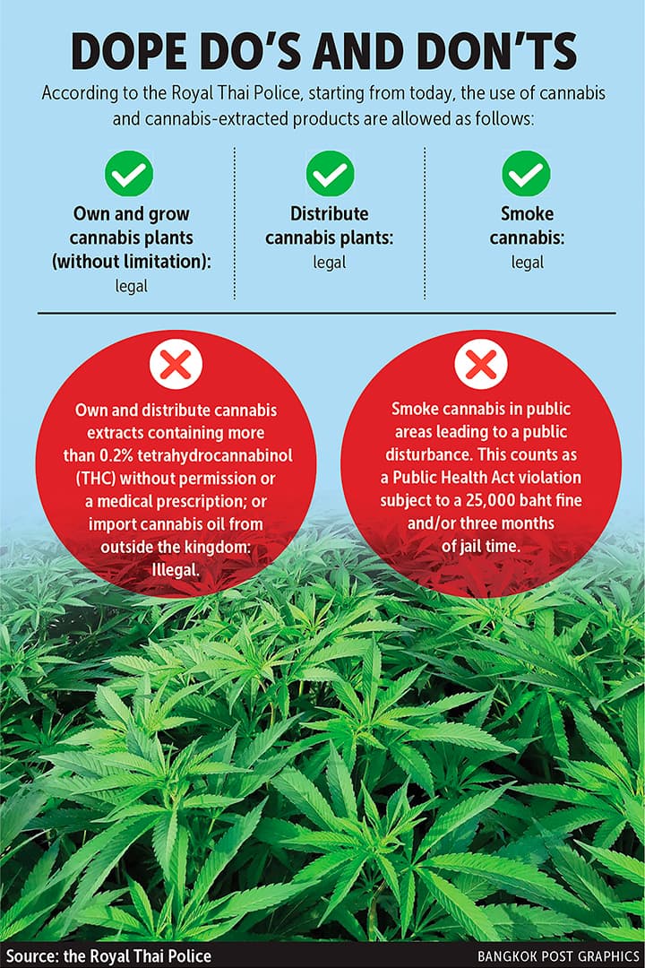 Nieuwe cannabiswetgeving in Thailand: een kort overzicht Nieuwe cannabiswetgeving in Thailand: een kort overzicht