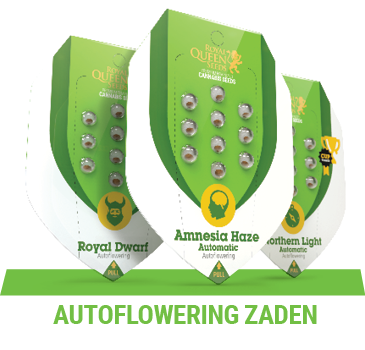 autoflowering-cannabis-zaden