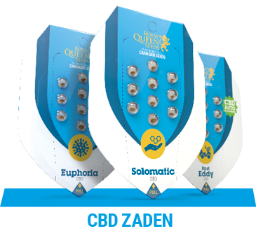 cbd-cannabis-zaden