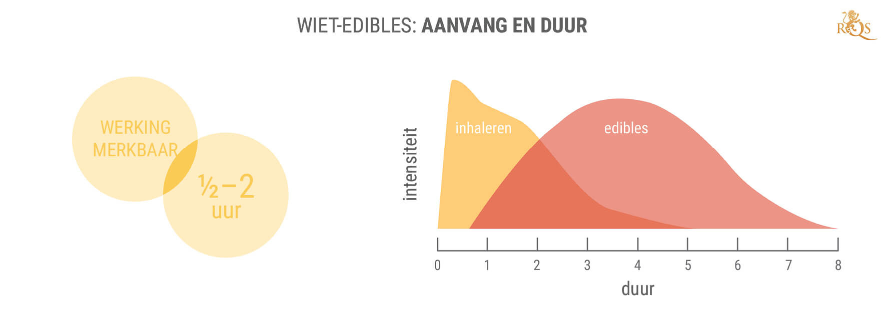 De Voordelen van 11-hydroxy-THC en Edibles De Voordelen van 11-hydroxy-THC en Edibles