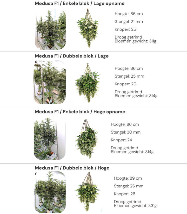 Medusa F1 resultaten: vergelijking single block vs dual block Resultatenoverzicht van Medusa F1 met vergelijking tussen single block en dual block bij lage en hoge irrigatie