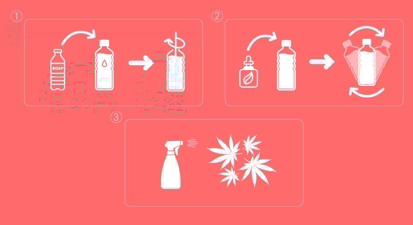 Mixing Neem Oil and Insecticial Soap