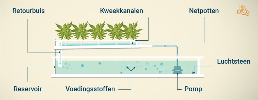 Nutrient Film Technique (NFT) Hydroponic System