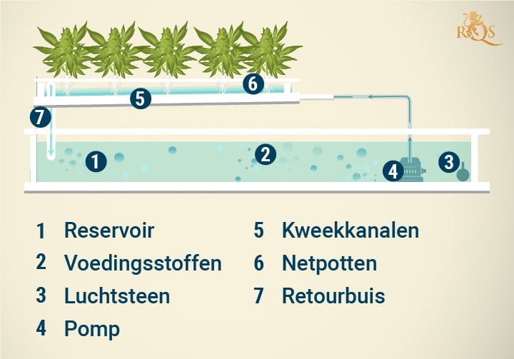 Nutrient Film Technique (NFT) Hydroponic System