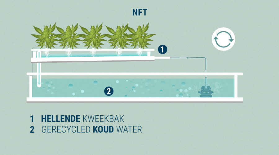 Nutrient Film Technique Nutrient Film Technique