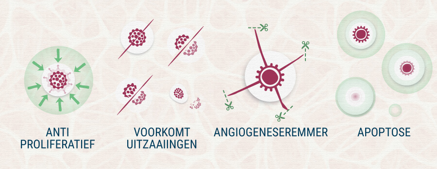 Cannabis En Kanker Cannabis En Kanker