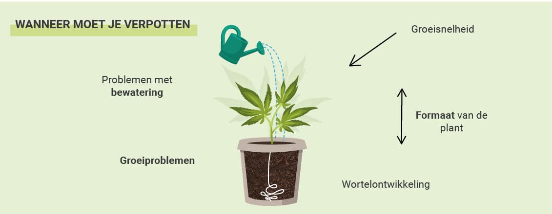 WANNEER MOET JE JE WIET VERPOTTEN? WANNEER MOET JE JE WIET VERPOTTEN?