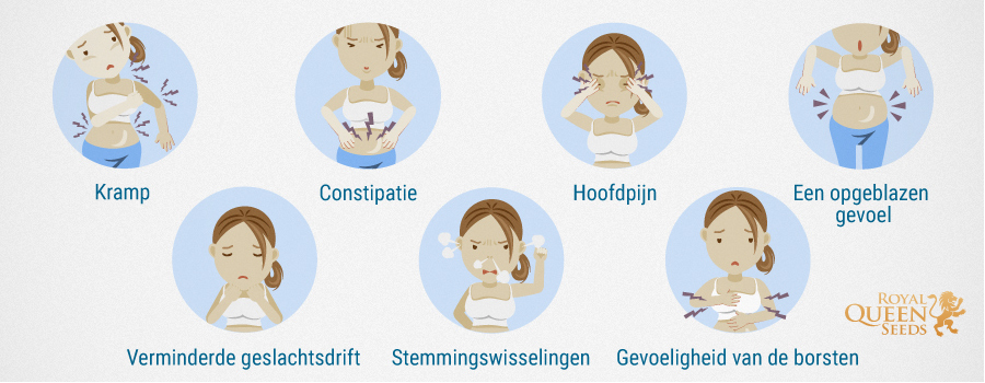 Menstruatiepijn Menstruatiepijn