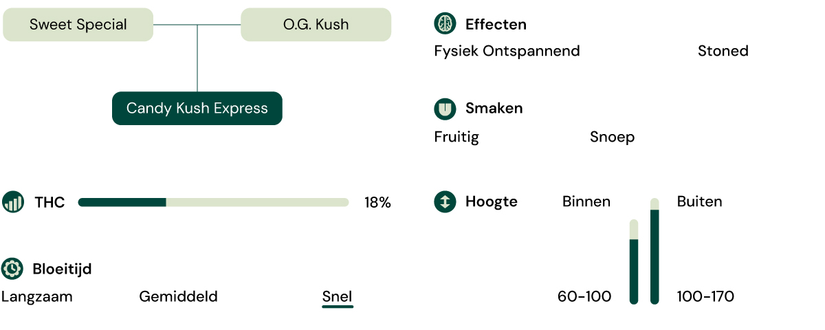 Kenmerken van de soort Candy Kush Express Kenmerken van de soort Candy Kush Express