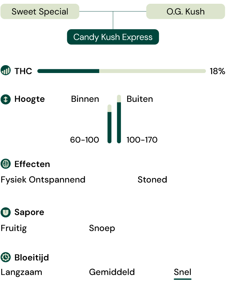 Kenmerken van de soort Candy Kush Express Kenmerken van de soort Candy Kush Express