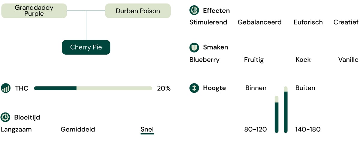 Kenmerken van de soort Cherry Pie