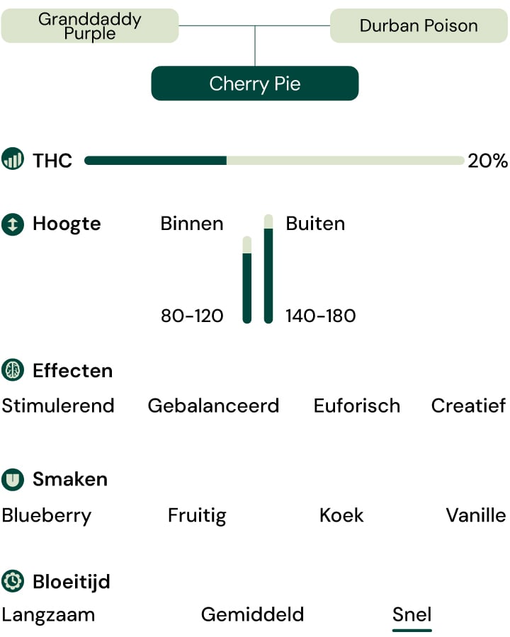 Kenmerken van de soort Cherry Pie