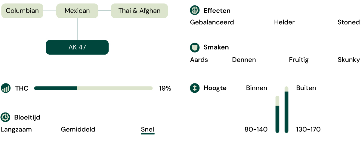 Kenmerken van de soort Royal AK (AK-47)