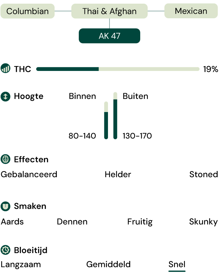 Kenmerken van de soort Royal AK (AK-47)
