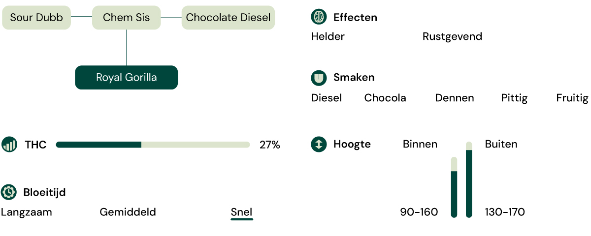 Kenmerken van la soort Royal Gorilla Kenmerken van la soort Royal Gorilla