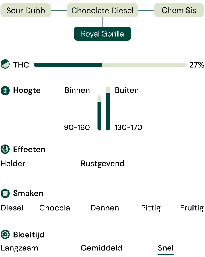 Kenmerken van la soort Royal Gorilla Kenmerken van la soort Royal Gorilla