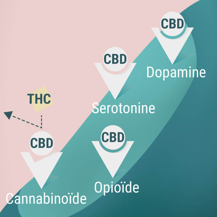 Cannabinoïde, opioïde, serotonine en dopamine-receptoren