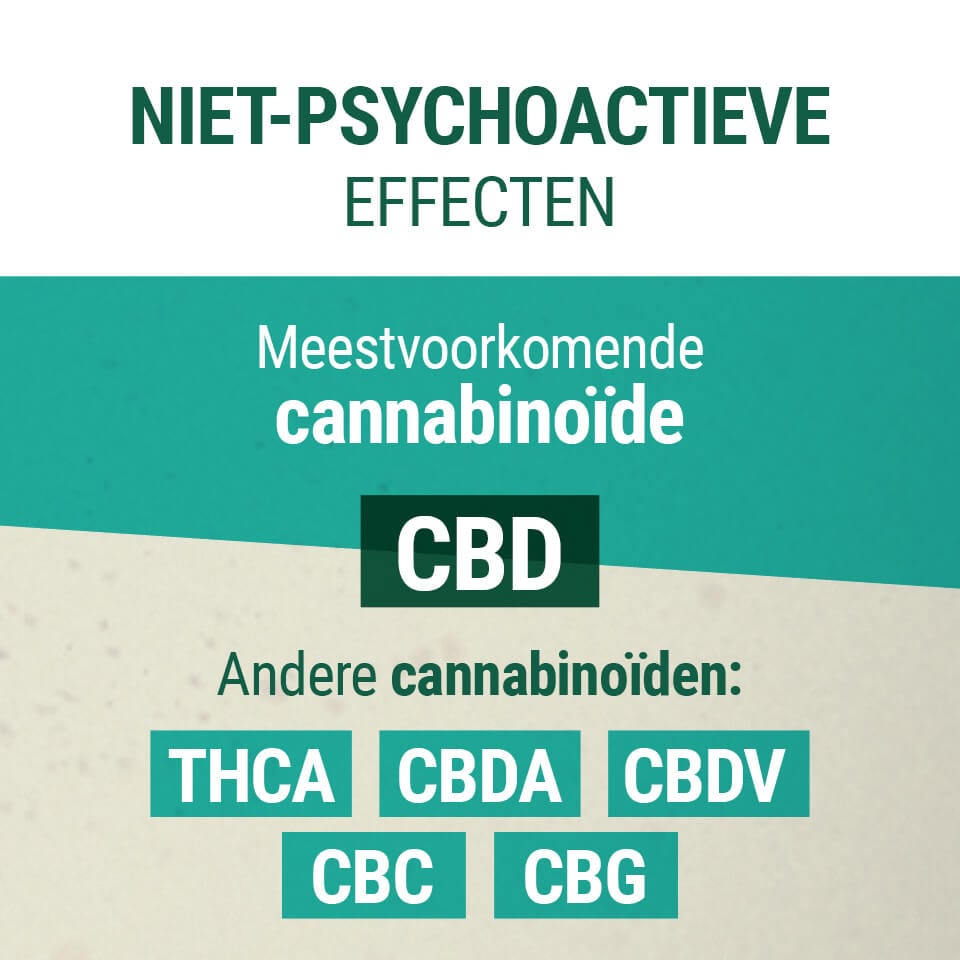 Niet-psychoactieve Effecten CBD