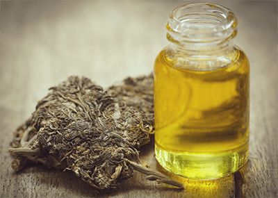 veganistisch pesto cannabis olie doordrenkt recept