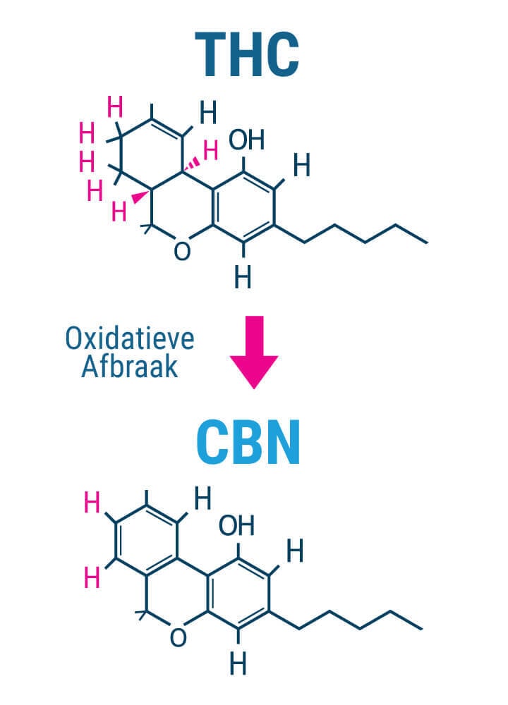 Bestaan de Ontspannende Effecten van CBN echt?