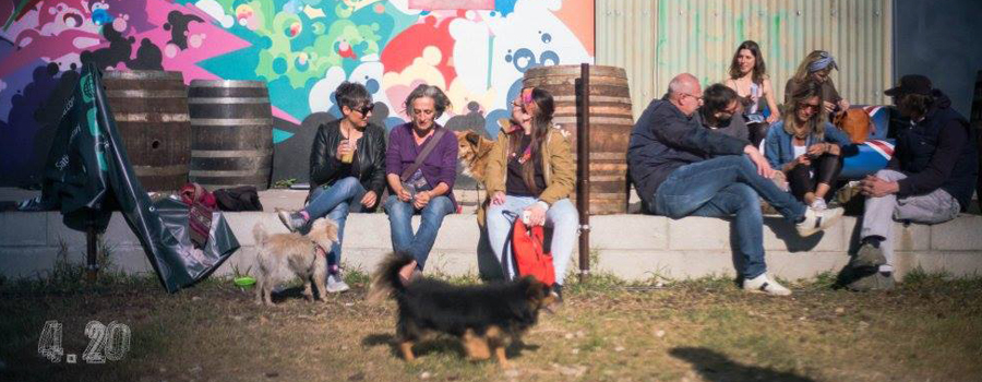 Hemp Fest 2017 Milan buitenshuis