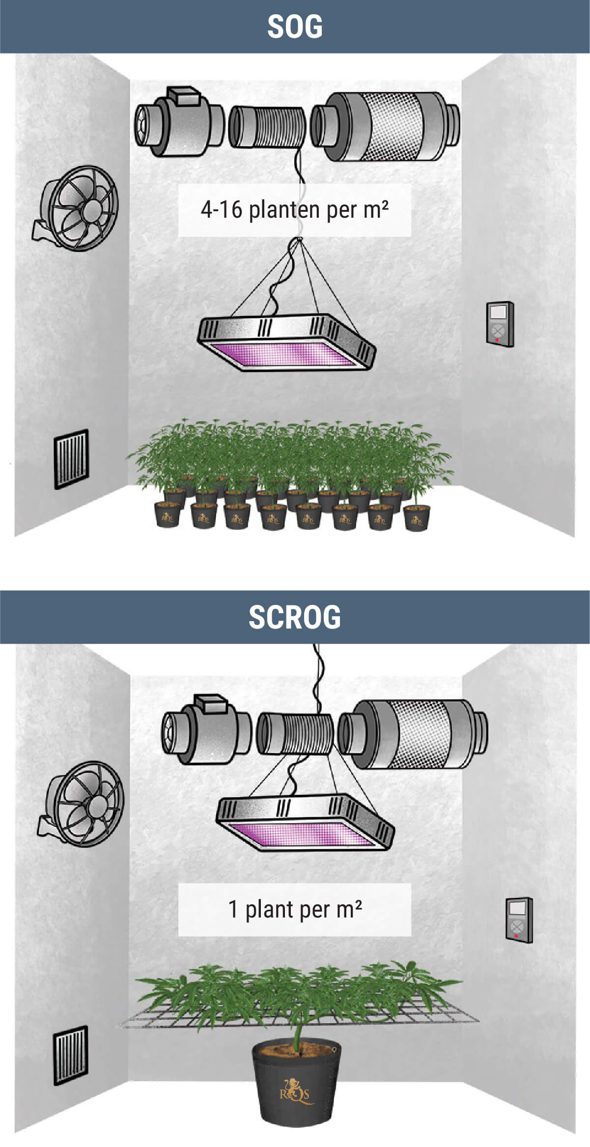 Hoeveel Wietplanten Kun Je Per Vierkante Meter Kweken?