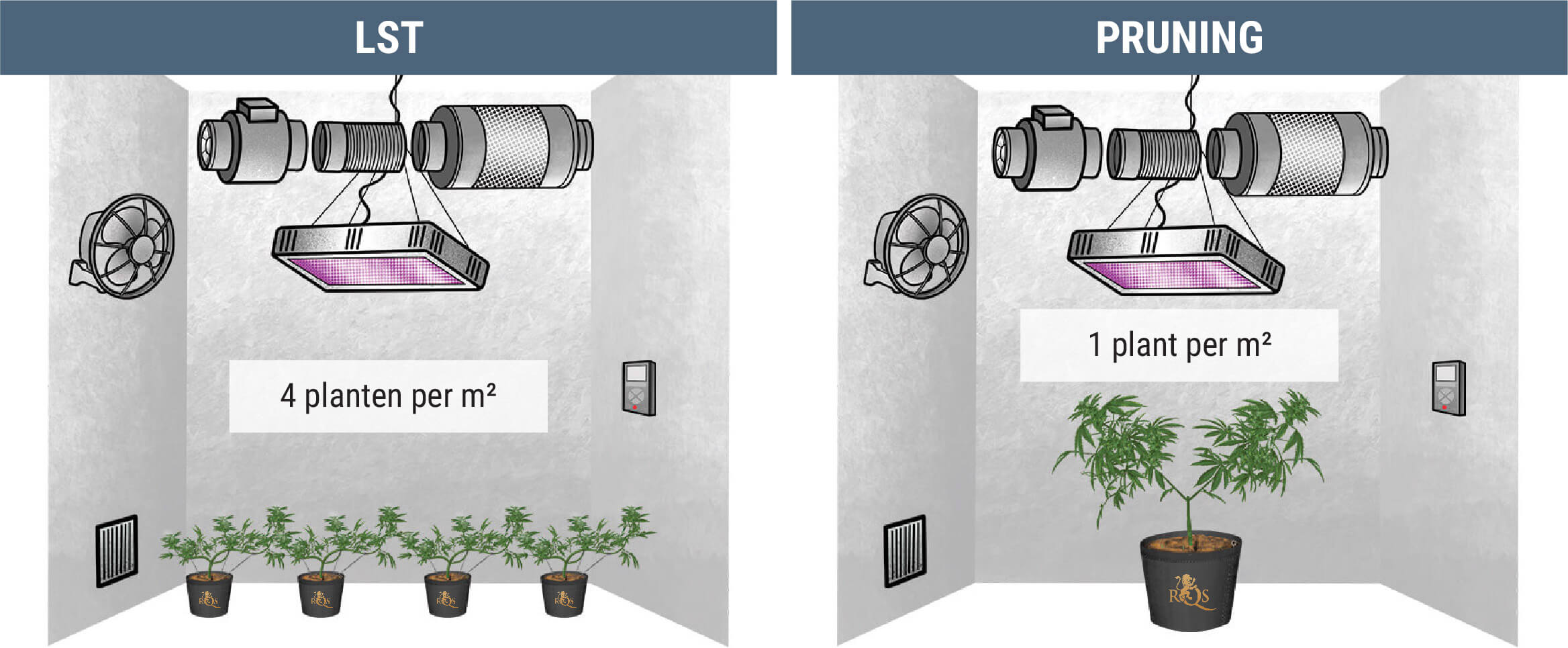 Hoeveel Wietplanten Kun Je Per Vierkante Meter Kweken?