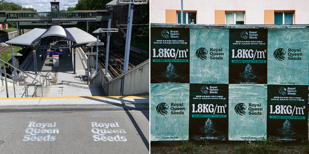 Ontdek de Power to the Grower-campagne in Berlijn, met een boodschap over thuis kweken, onafhankelijkheid en weten wat je eigen planten zijn.