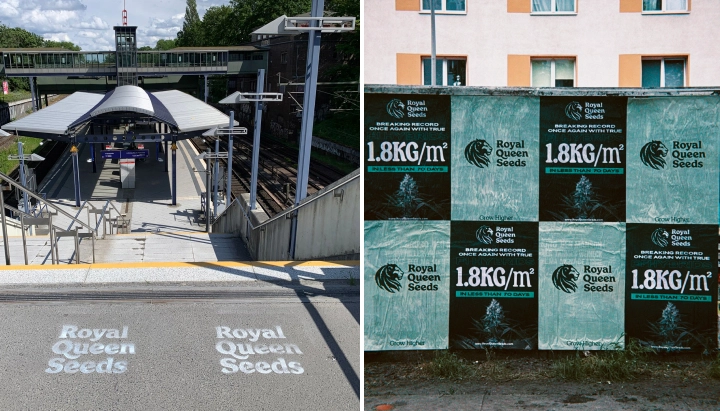 Ontdek de Power to the Grower-campagne in Berlijn, met een boodschap over thuis kweken, onafhankelijkheid en weten wat je eigen planten zijn.