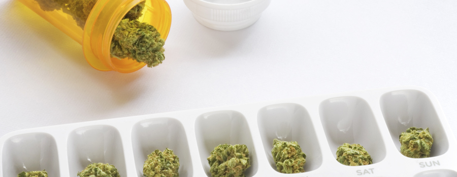 Cannabis-verordening Duitse regering
