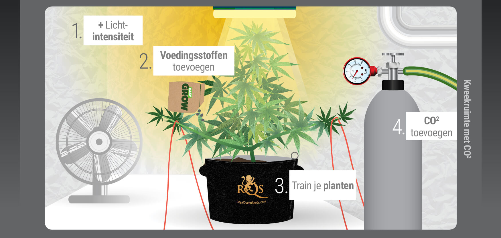 Kweekruimte met CO2